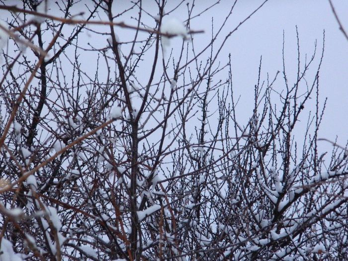 DSCN1257 - ZAPADA 2014