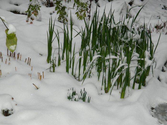 DSCN1262 - ZAPADA 2014