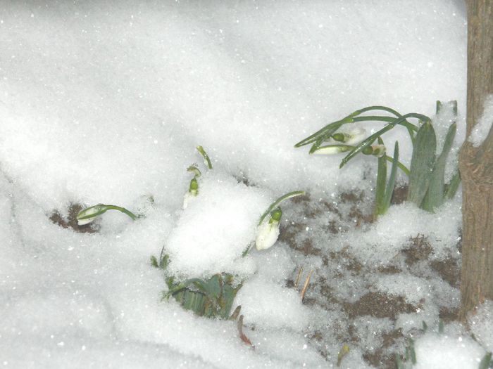 DSCN1266 - ZAPADA 2014