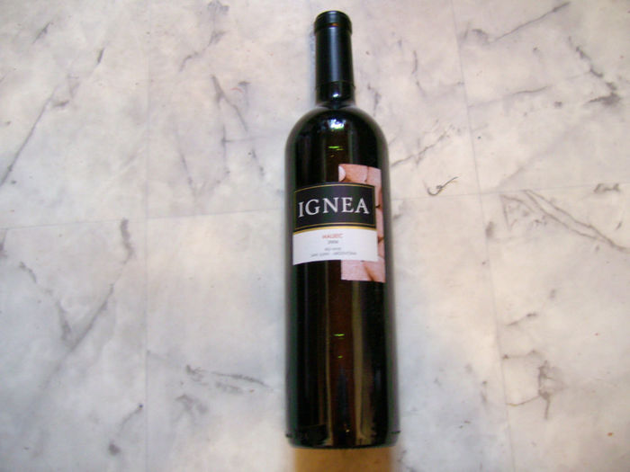 IMG_0759; un  malbec  de  la  poalele  anzilor
