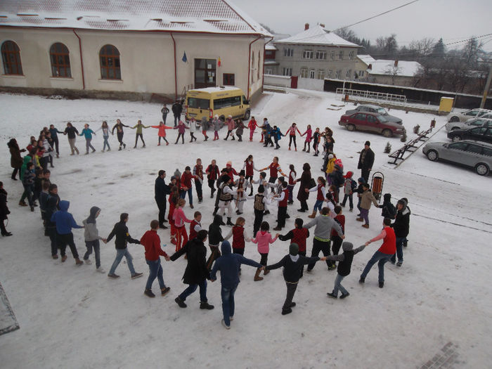 24 IANUARIE 2014 (28)