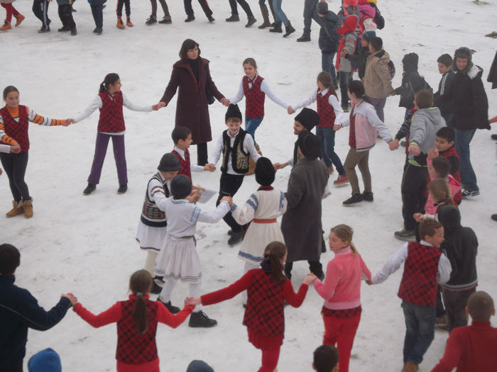 24 IANUARIE 2014 (29)