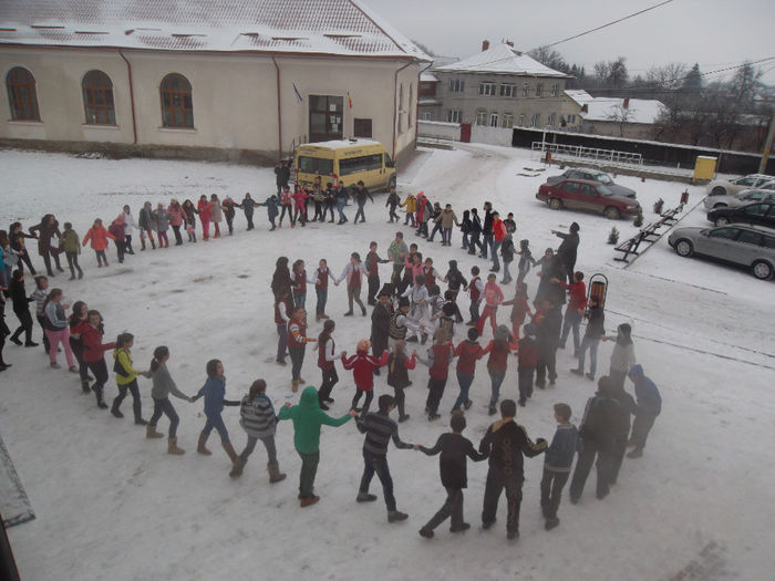 24 IANUARIE 2014 (30)