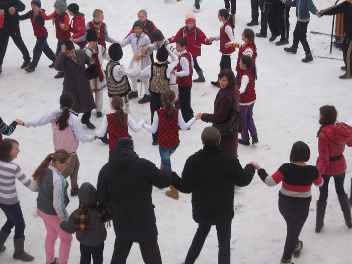 24 IANUARIE 2014 (31) - 24 ianuarie 2014