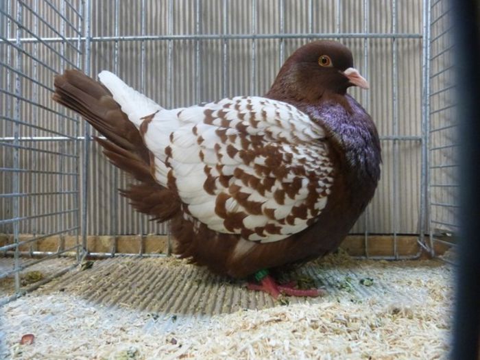 367