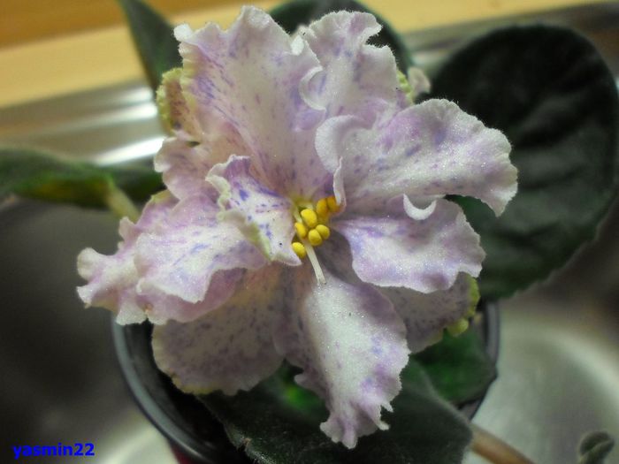 444 - Rainy Day Lovin