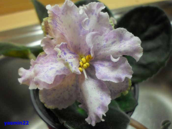 447 - Rainy Day Lovin