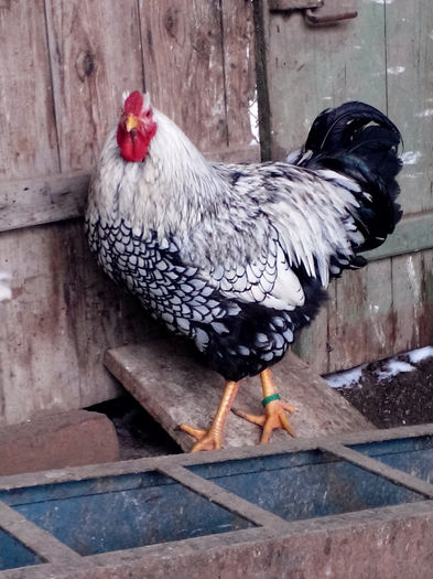 IMG_20140126_143421115