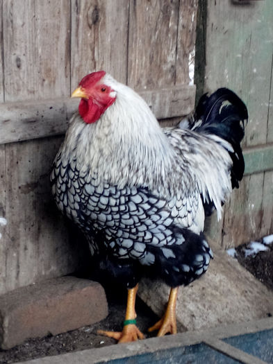 IMG_20140126_143442920