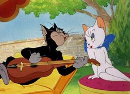 1526543_229180210539278_720368765_n - Tom and Jerry