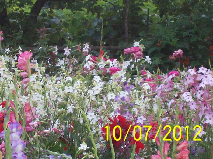 100_6026