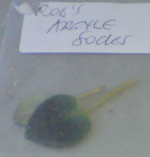 DSC02471 - 1 - Rob s Argyle Socks