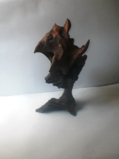 024. Vaca spatiala 2010