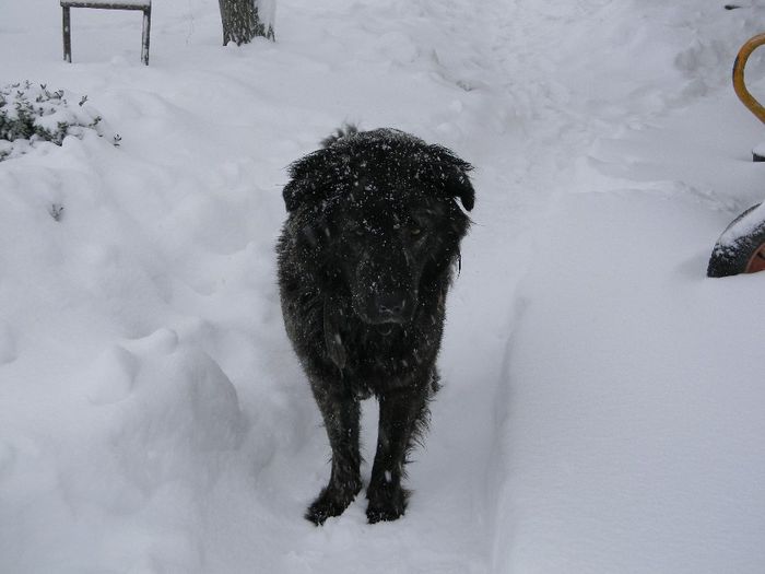 DSCN4767; 24  01  2014
