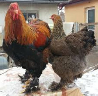 JHGHBHYGBHYXCFCCHJHHHMNMNHGYYT