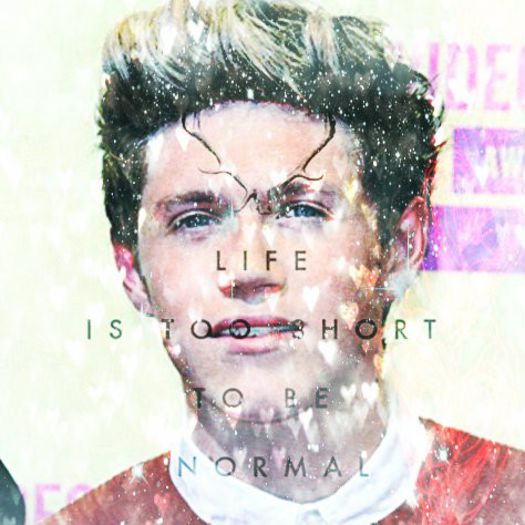 27 - 01 - 2014 - DAY 88 - Niall Horan