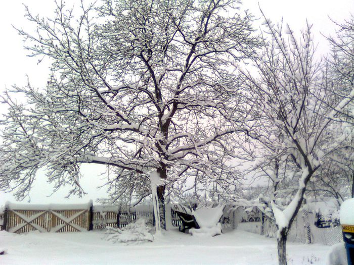 Imagine1311 - Imagini de iarna