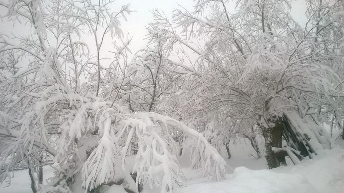 004 - O iarna ca in povestii