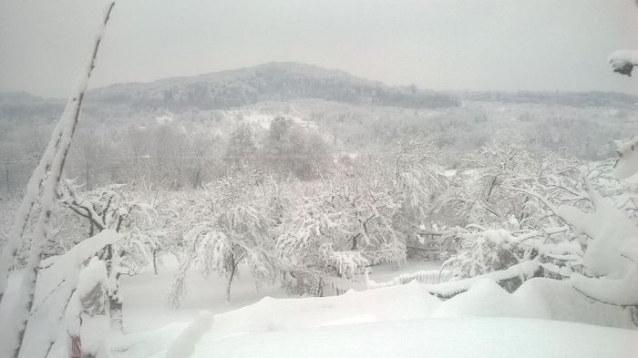 010 - O iarna ca in povestii