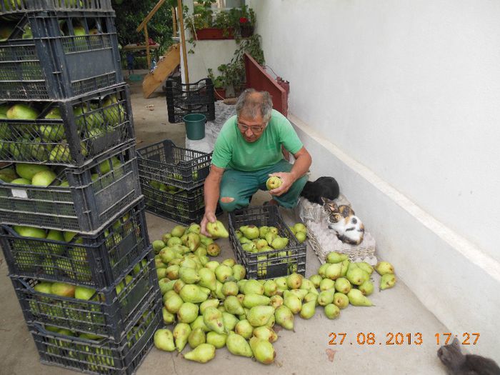 asta-i bună,asta nu