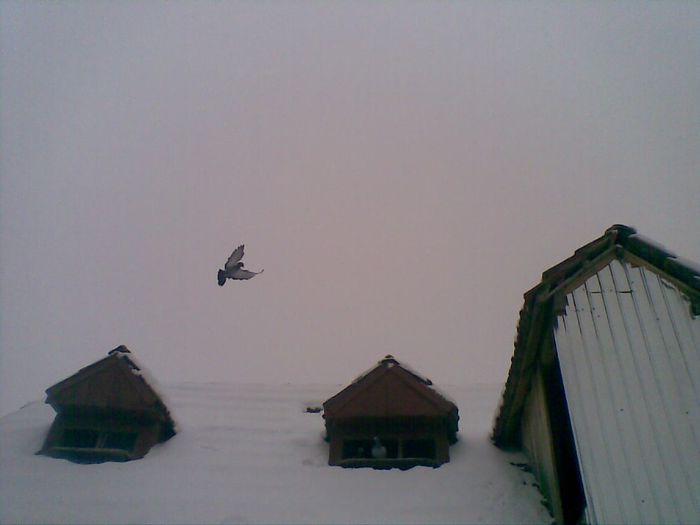 27012014(032) - La Zbor