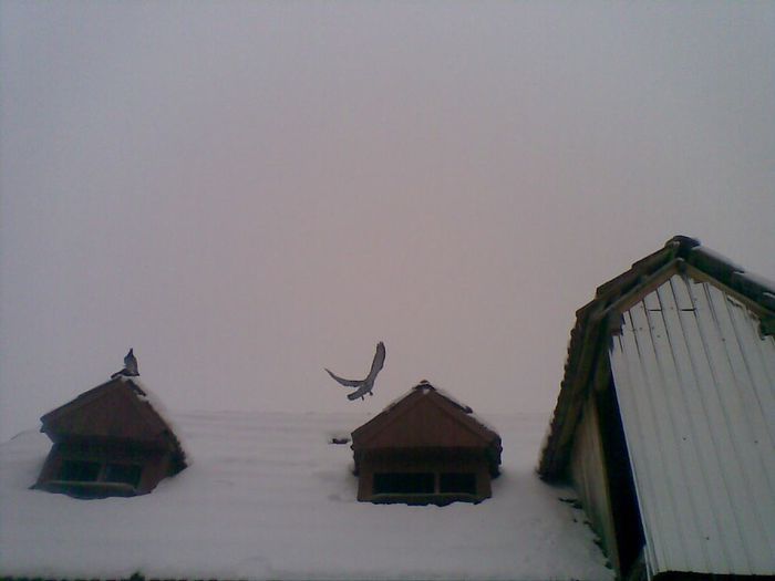 27012014(034) - La Zbor