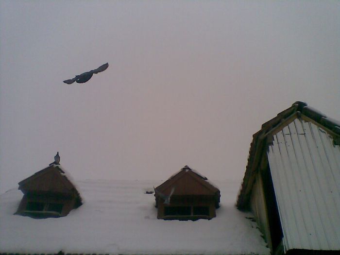 27012014(035) - La Zbor