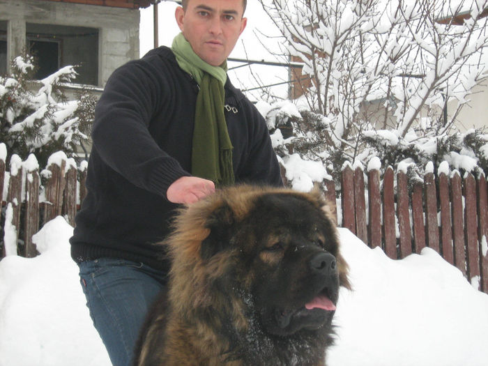 IMG_5900 - Caini ciobanesti din localitate