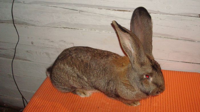 RO122 TM23 (F2); 8,100 kg
