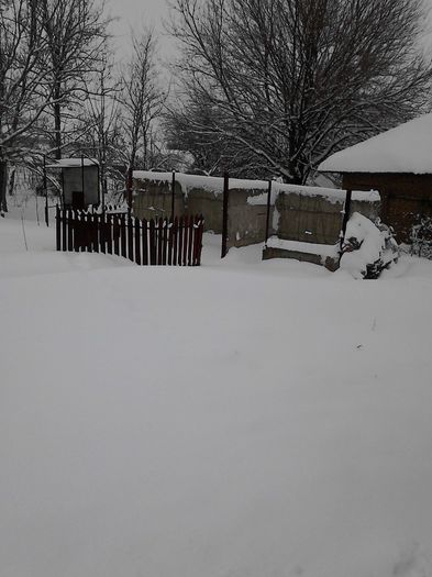 IMG_20140127_133202 - Iarna lui 2014