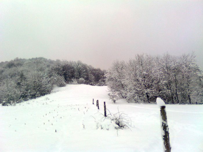 Imagine1319 - Imagini de iarna