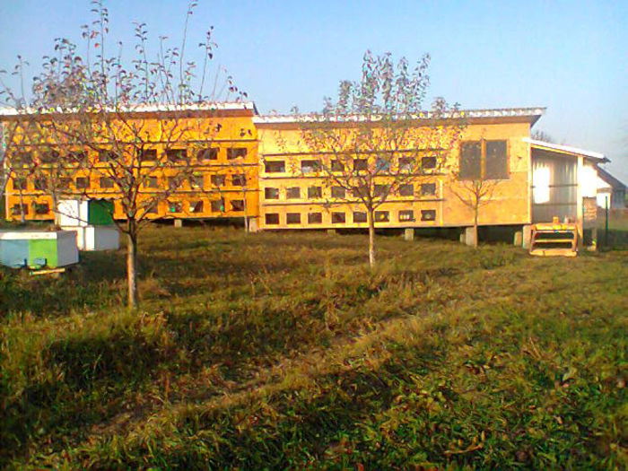 Fotografie0146 - Stupina