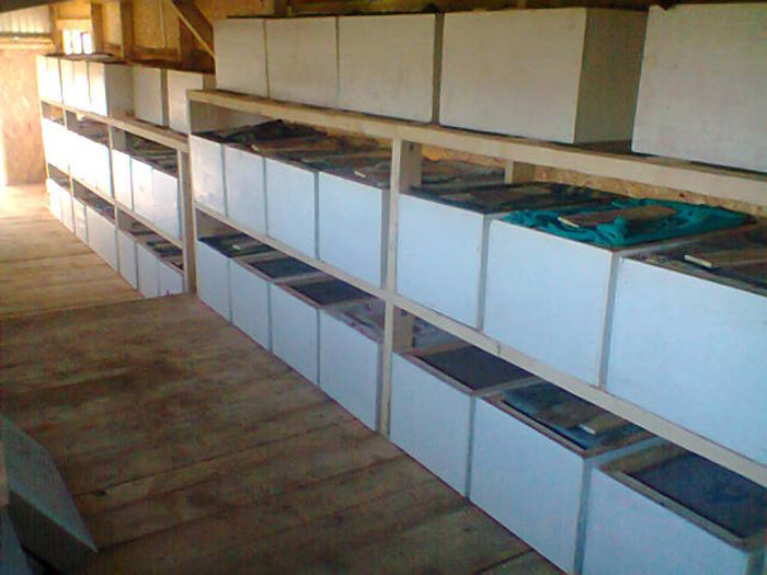 Fotografie0167 - Stupina