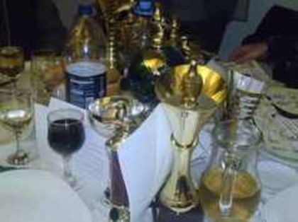 94898229_THFVDNI - Rezultate 2013