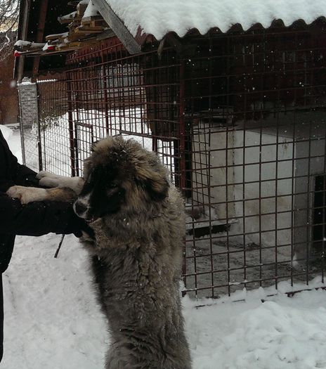 artan la aproape 5 luni