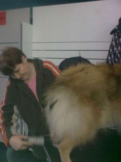 pregatire EXPO; 25.01.2014
