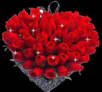 images (9) - xo_trandafiri_xo