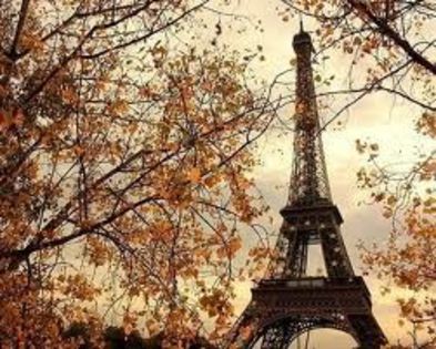 images (1) - xo_Turnul Eiffel_xo