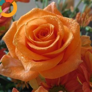 sunset dreams -bulgaria