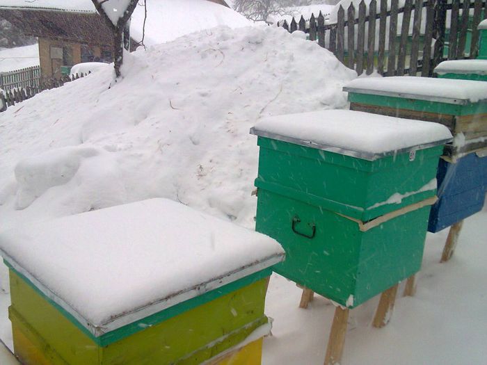 Foto 00252 - 2014 ianuarie