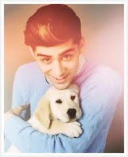 images (10) - xo_Zayn Malik_xo