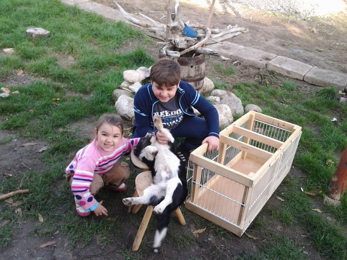 CUSCA TRANSPORT NEFINISATA