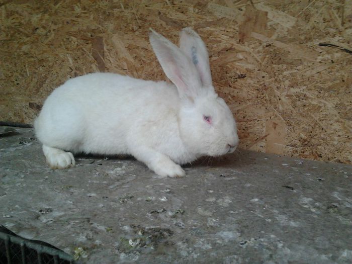 Photo0326