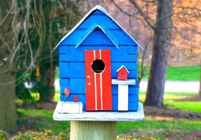 birdhouse_030 - casute pentru pasari salbatice