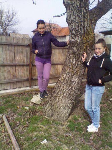 1543683_442594389175212_61735840_n