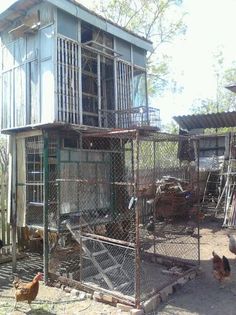 Porumbei Mei (241) - Amintiri