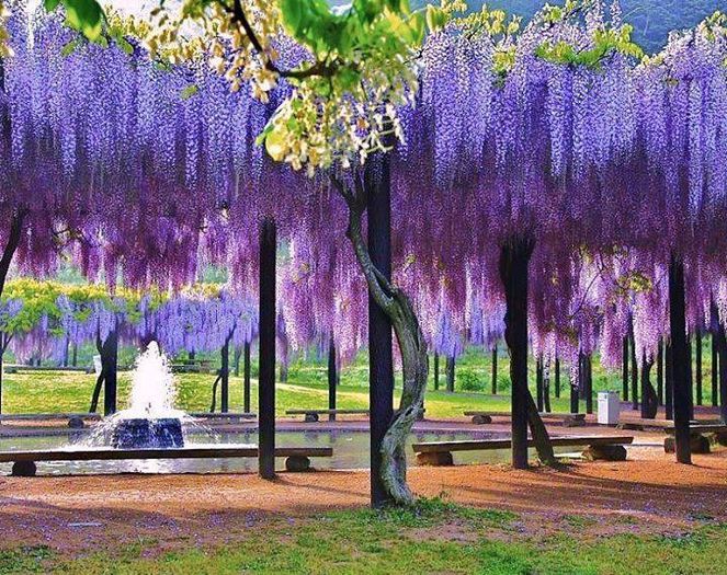 971734_204565596404086_235354228_n