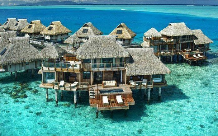 1507557_201100856750560_459853396_n