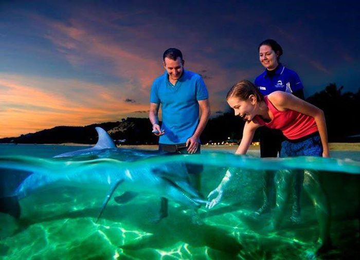 1508138_204172459776733_545543851_n