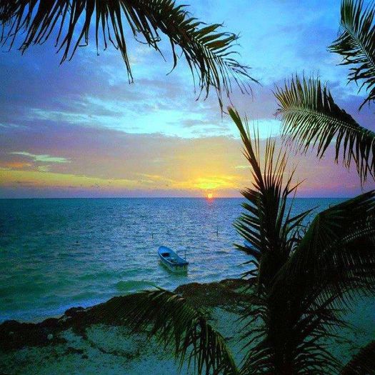 1655931_205380886322557_1972031698_n